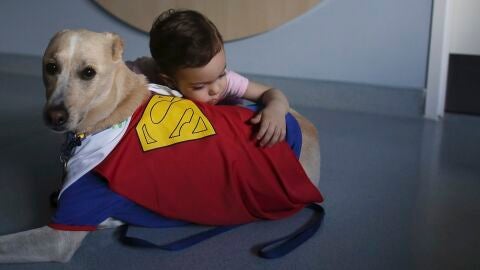 Una ni&ntilde;a abraza a un perro vestido de Superman en un hospital