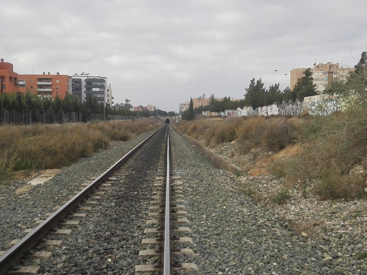 Ilicitanos por Elche pide gestionar ante Fomento una pasarela peatonal sobre las vías del tren en el nuevo Altabix Ilicitanos por Elche pide gestionar ante Fomento una pasarela peatonal sobre las vías del tren en el nuevo Altabix
