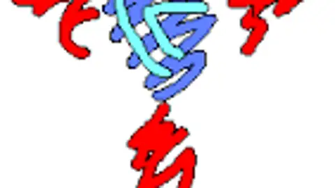 escudo celta de vigo escudo celta de vigo