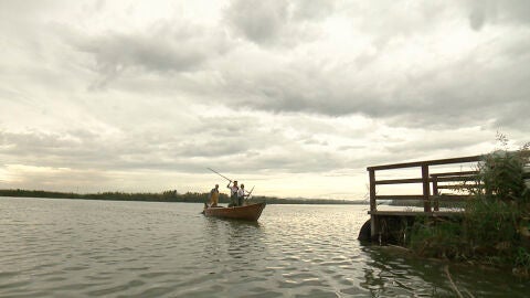 albufera