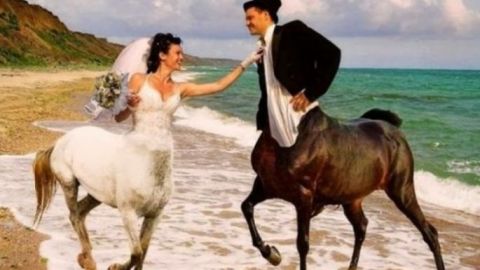 Montaje de novios con caballos