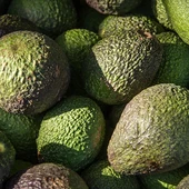 Aguacates Aguacates