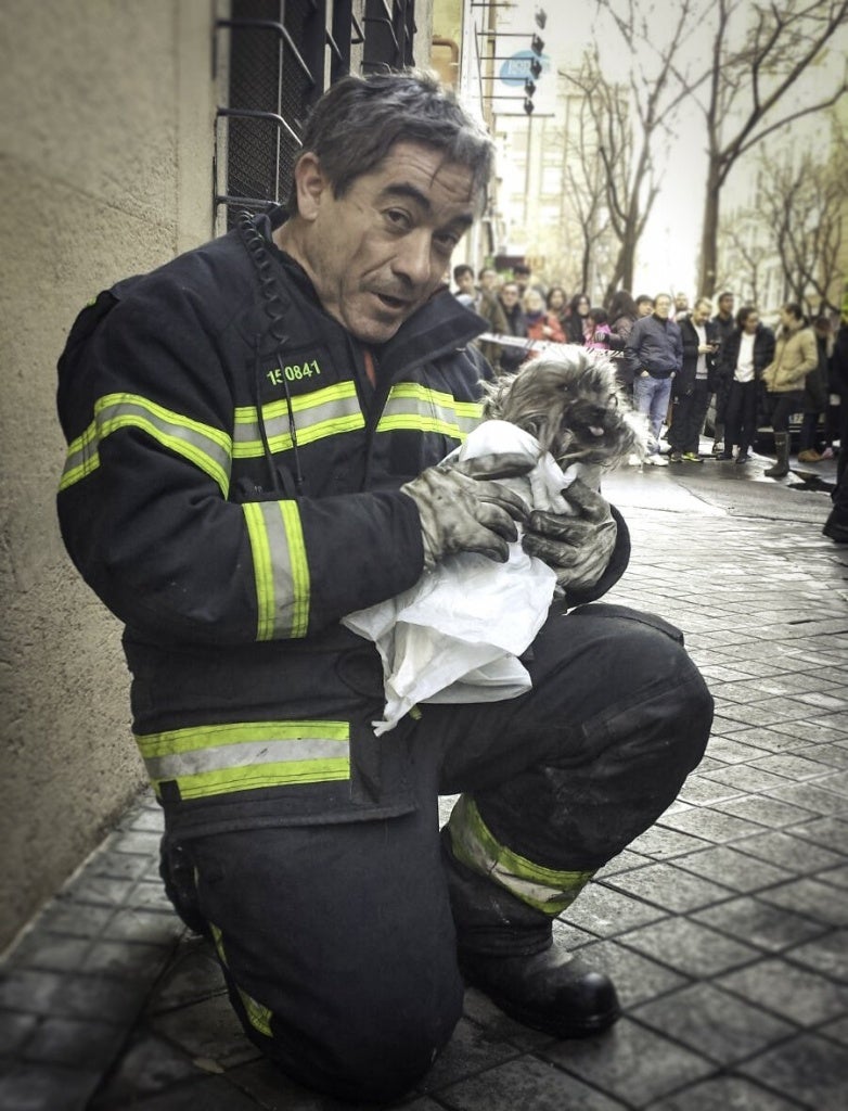 Un bombero, un policía y un perro se convierten en héroes de dos y cuatro patas Un bombero, un policía y un perro se convierten en héroes de dos y cuatro patas