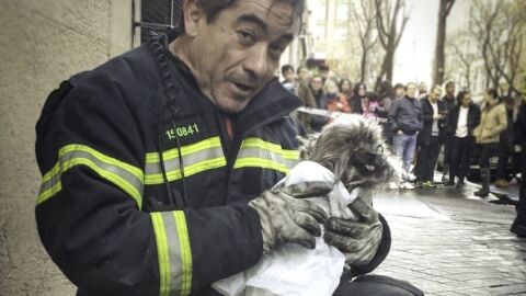 Bombero y Lucky tras ser rescatado