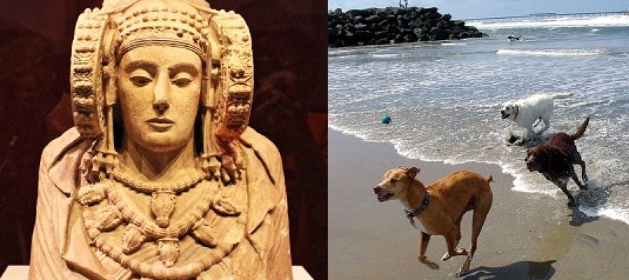 La Dama de Elche y la playa para perros han protagonizado el Pleno Municipal de Elche. La Dama de Elche y la playa para perros han protagonizado el Pleno Municipal de Elche.