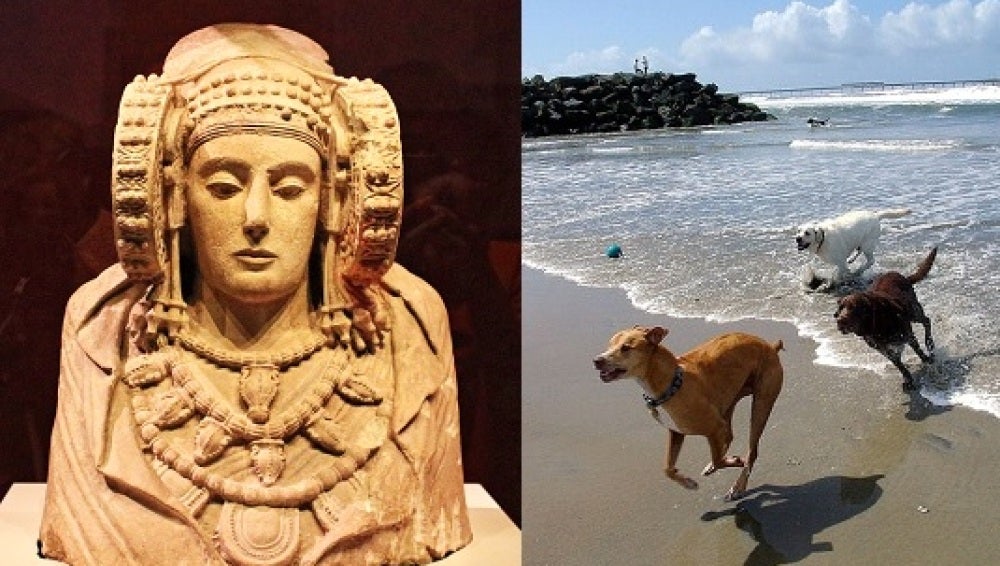 La Dama de Elche y la playa para perros han protagonizado el Pleno Municipal de Elche. 