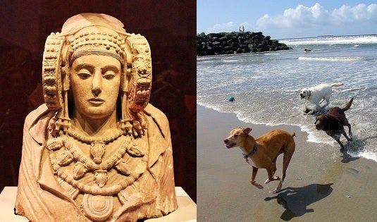 El Pleno da su OK a la playa para perros y a pedir la vuelta de la Dama El Pleno da su OK a la playa para perros y a pedir la vuelta de la Dama