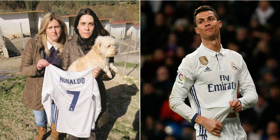 Cristiano Ronaldo dona una camiseta del Real Madrid firmada para ayudar a una perrera en Portugal Cristiano Ronaldo dona una camiseta del Real Madrid firmada para ayudar a una perrera en Portugal