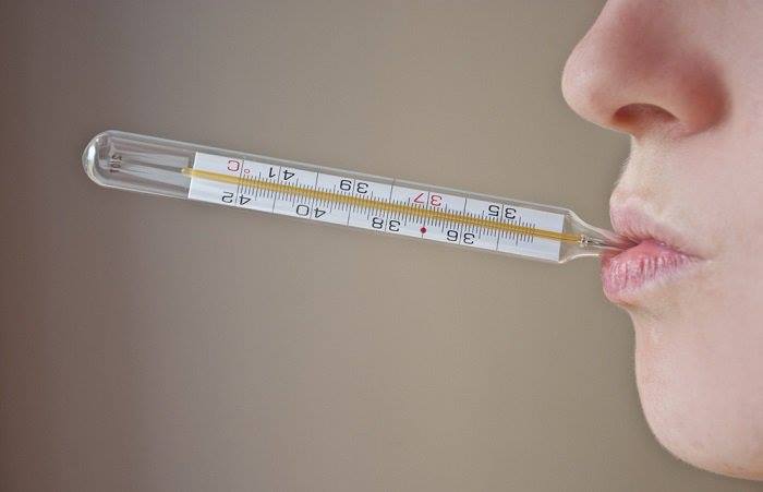 Vol. 111 Especial Fiebre Vol. 111 Especial Fiebre