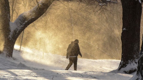 Neoyorquino camina por el Fort Greene Park en Nueva York
