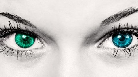 Ojos