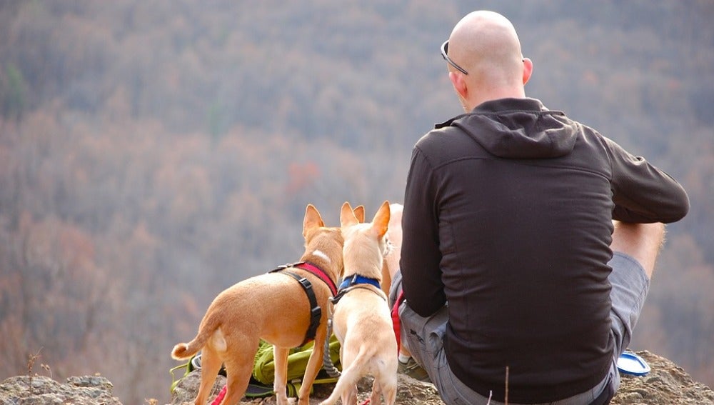Un hombre hace senderismo con sus perros