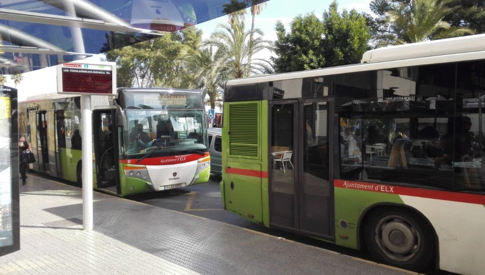 Dos autobuses del transporte público urbano de Elche. 