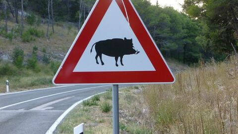 Se&ntilde;al peligro Jabal&iacute;es