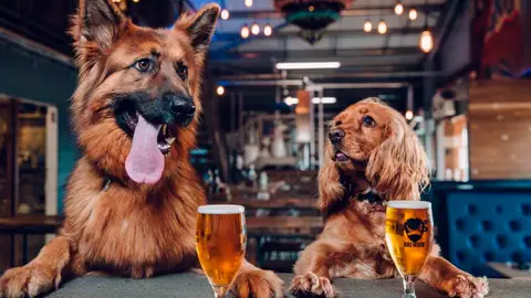 Dos perros en BrewDog Dos perros en BrewDog