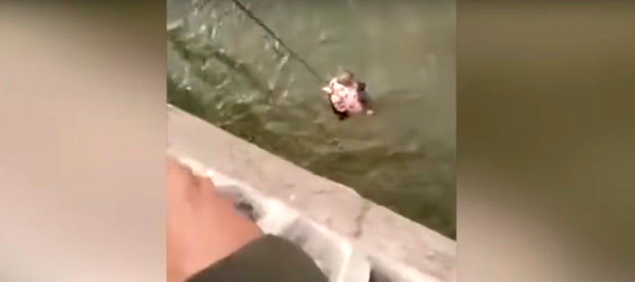 El bebé rescatado por el taxista El bebé rescatado por el taxista