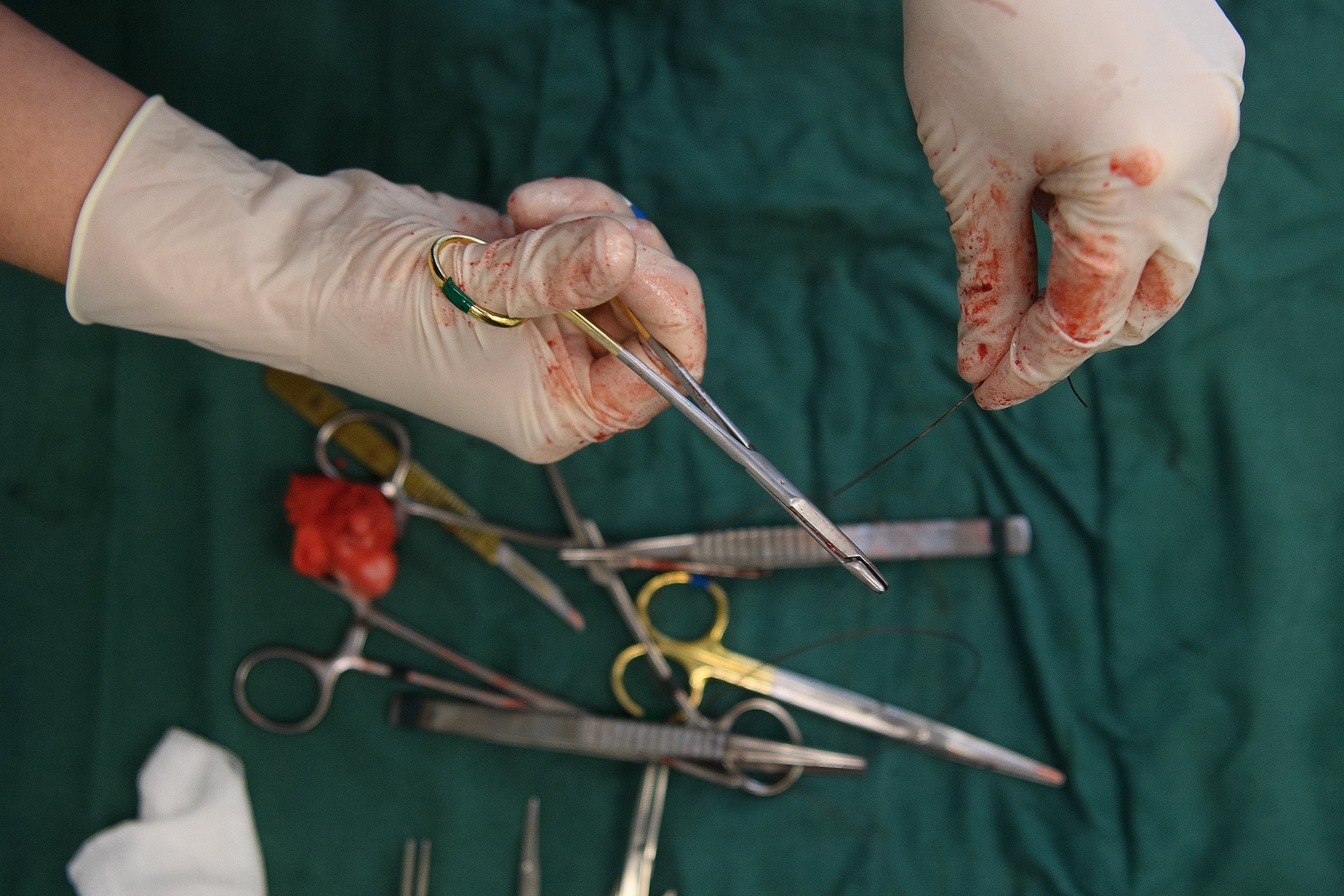 Juzgan a un veterinario que inyectaba heroína líquida en cachorros para introducir la droga en Estados Unidos Juzgan a un veterinario que inyectaba heroína líquida en cachorros para introducir la droga en Estados Unidos