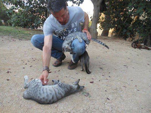 Un cuidador de colonias felinas muere defendiendo a sus gatos en Lloret de Mar Un cuidador de colonias felinas muere defendiendo a sus gatos en Lloret de Mar