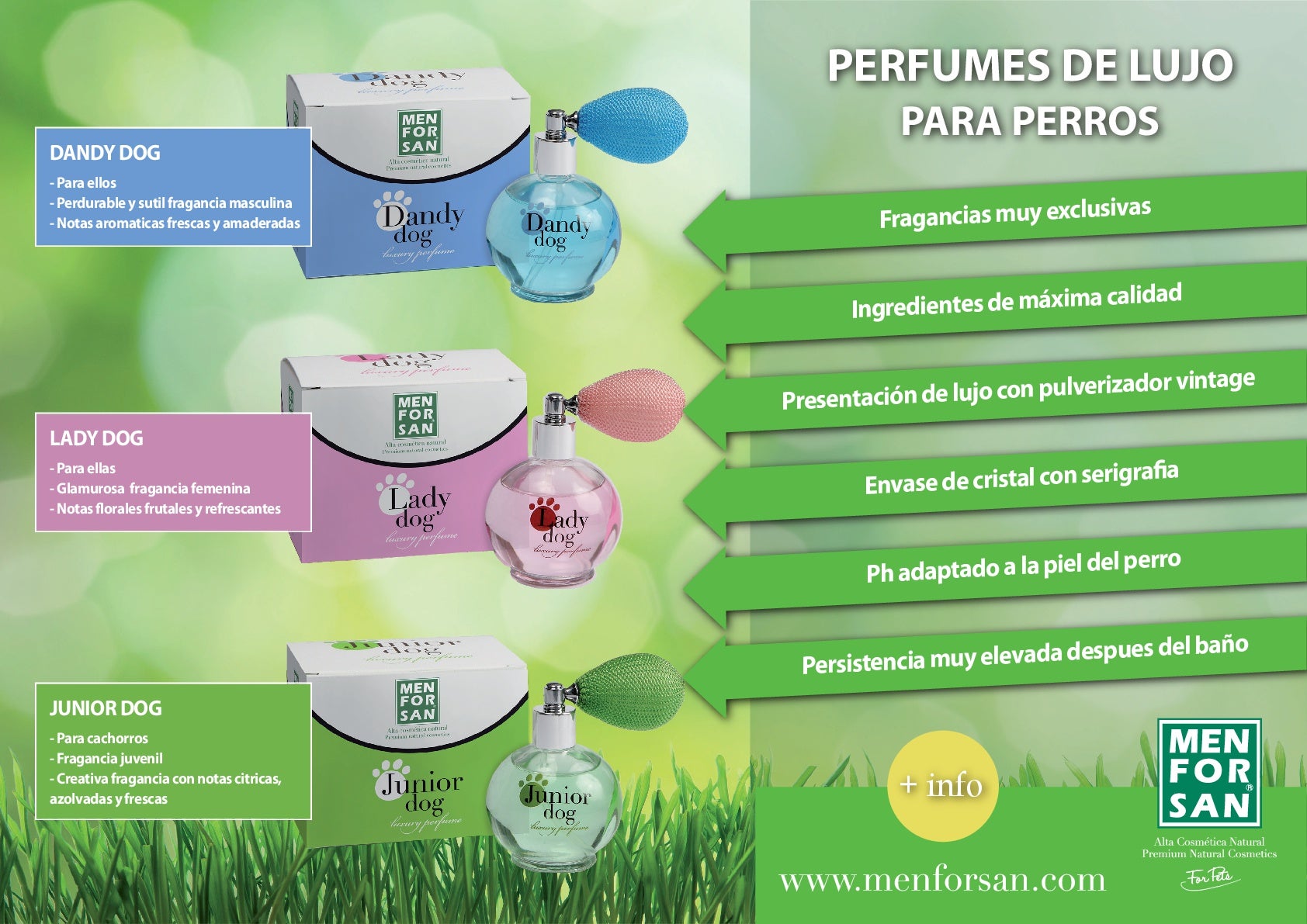 ¿Qué colonias y perfumes puedo usar con mi perro? ¿Qué colonias y perfumes puedo usar con mi perro?