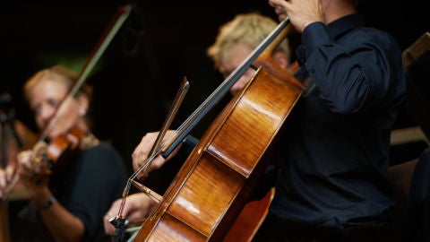 M&uacute;sicos durante un concierto de orquesta