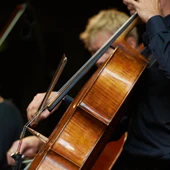 Músicos durante un concierto de orquesta Músicos durante un concierto de orquesta