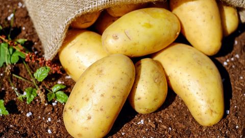 Saco de patatas