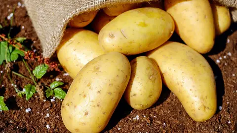 Saco de patatas Saco de patatas