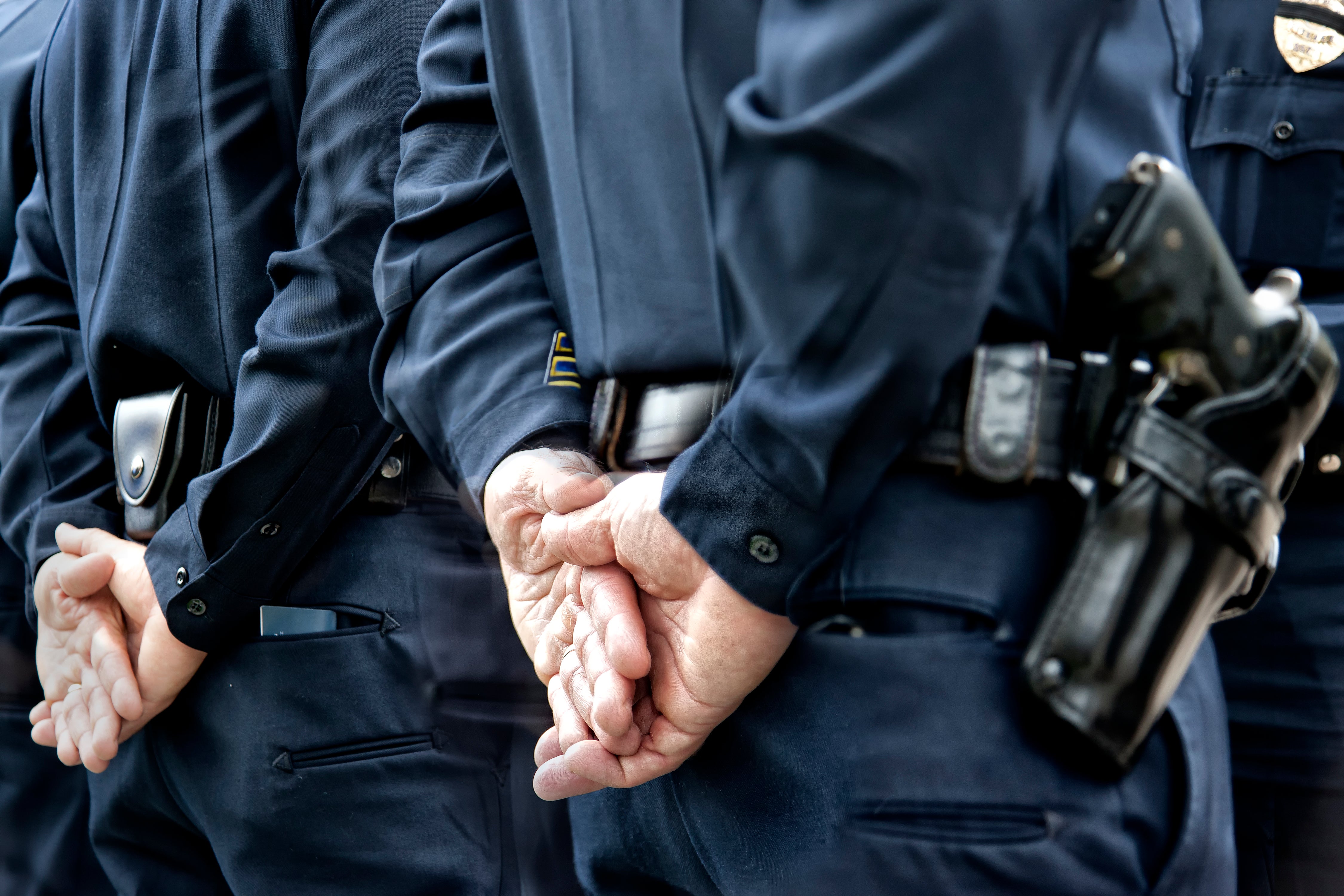 El Constitucional suspende temporalmente la ley vasca de víctimas policiales El Constitucional suspende temporalmente la ley vasca de víctimas policiales