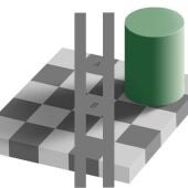 Ilusión óptica del tablero de ajedrez: solución