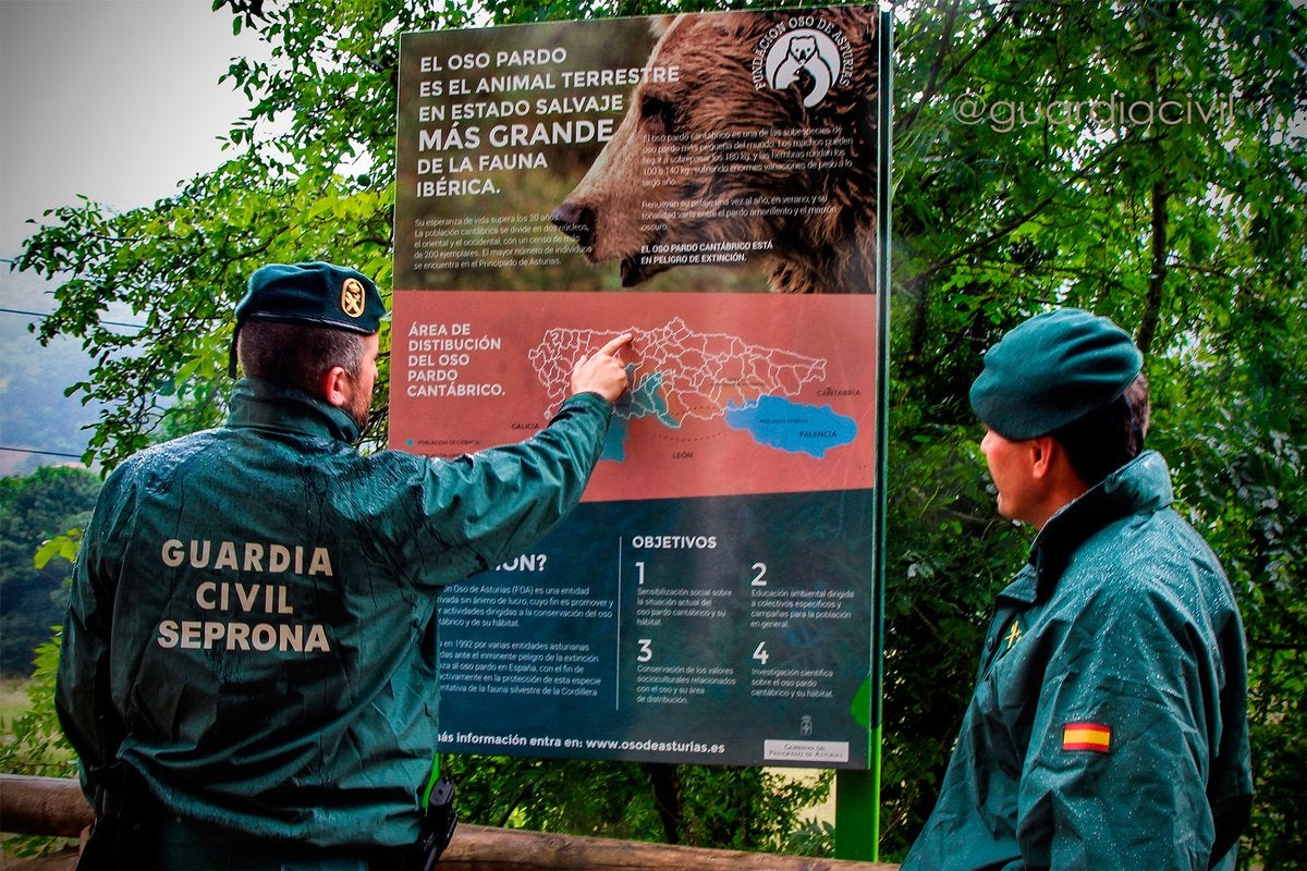 El Seprona detiene o investiga a 59 personas por tráfico ilícito de especies en la operación 'Thunderbird' El Seprona detiene o investiga a 59 personas por tráfico ilícito de especies en la operación 'Thunderbird'