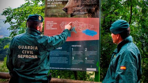 Dos agentes del Seprona de la Guardia Civil observan un cartel sobre el oso pardo
