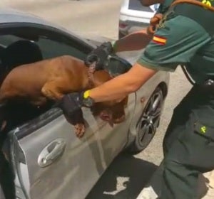 Momento en el que un agente de la Guardia Civil rescata en Aspe al perro del interior del coche. Momento en el que un agente de la Guardia Civil rescata en Aspe al perro del interior del coche.
