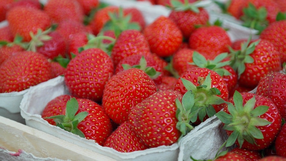 UPA repartirá este martes en Mérida más de 1.000 tarrinas de fresas de Huelva UPA repartirá este martes en Mérida más de 1.000 tarrinas de fresas de Huelva