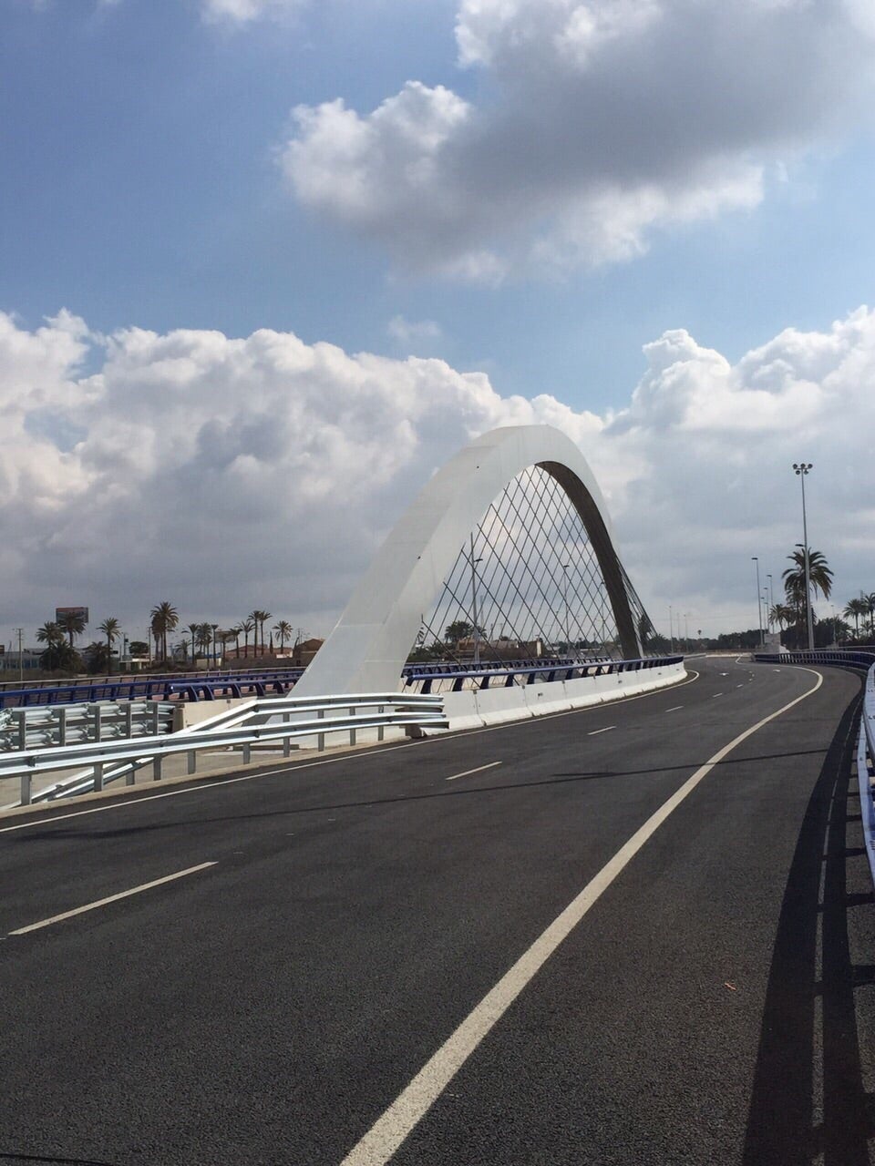 El Gobierno obvia la finalización de la Ronda Sur y el alcalde de Elche adelanta que pedirá a la Generalitat financiar su conclusión El Gobierno obvia la finalización de la Ronda Sur y el alcalde de Elche adelanta que pedirá a la Generalitat financiar su conclusión