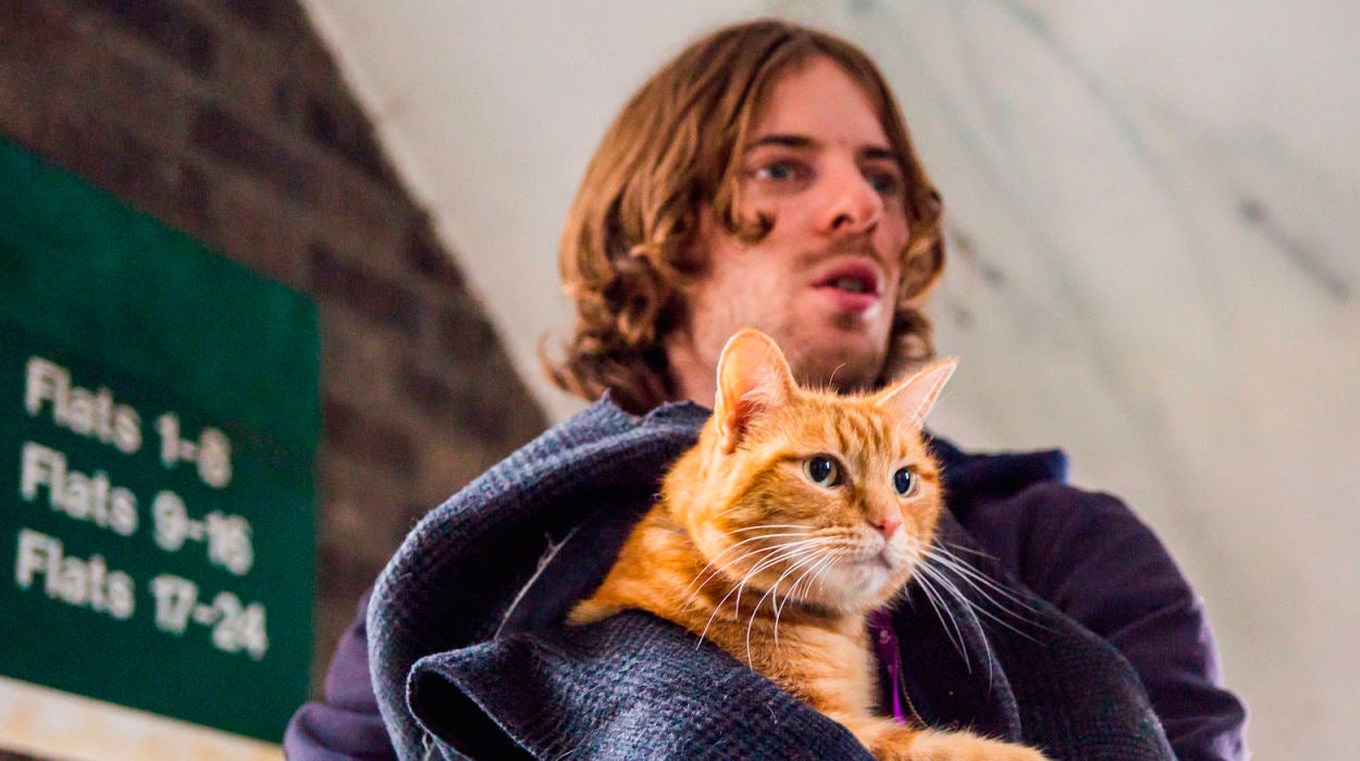 La entrañable historia de cómo un gato callejero le cambió la vida a James, un vagabundo británico La entrañable historia de cómo un gato callejero le cambió la vida a James, un vagabundo británico
