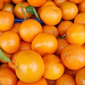 Cáscaras de naranja Cáscaras de naranja