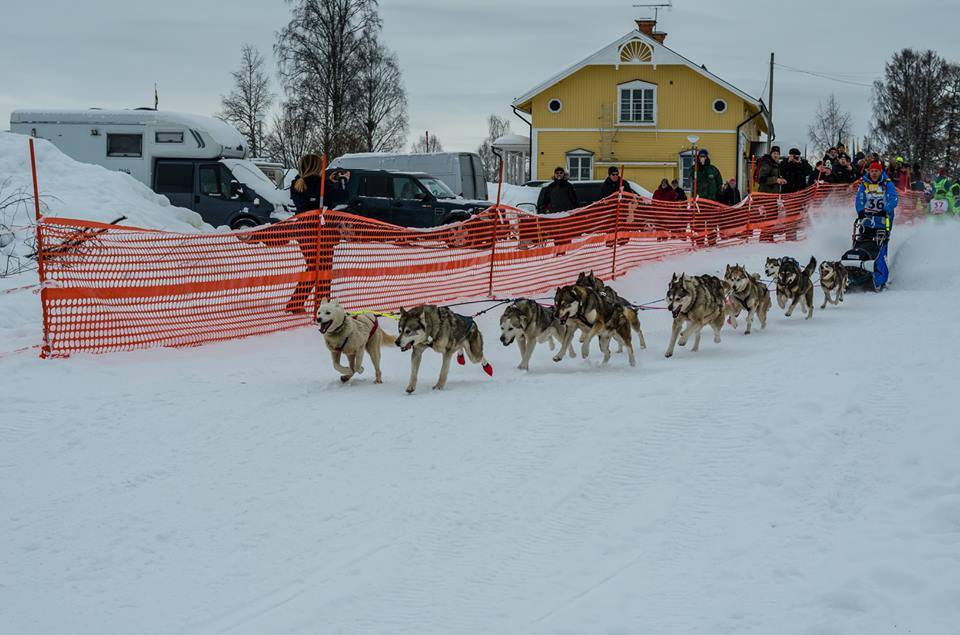 Baltasar Gallardo: "He participado de milagro. La Real Federación Española de Deportes de Invierno no sabía que existía este campeonato" Baltasar Gallardo: "He participado de milagro. La Real Federación Española de Deportes de Invierno no sabía que existía este campeonato"
