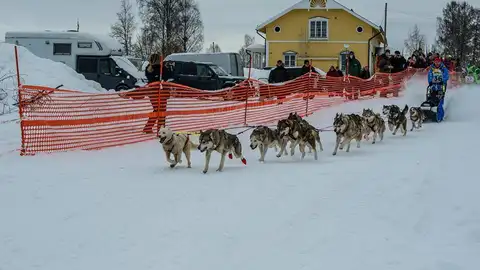 Baltasar Gallardo Baltasar Gallardo, campeon del mundo de mushing con siberianos