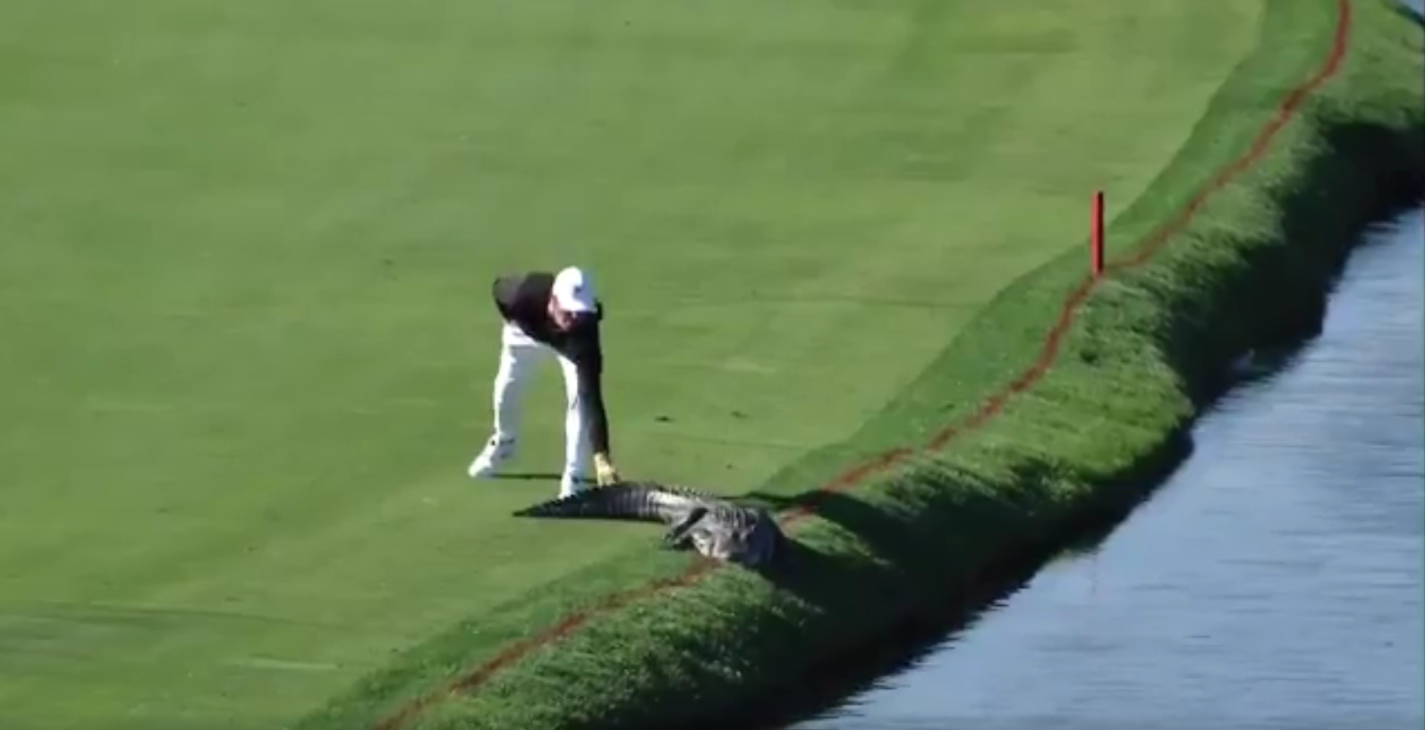 Un golfista consigue ahuyentar a un cocodrilo del campo de golf sin apenas inmutarse Un golfista consigue ahuyentar a un cocodrilo del campo de golf sin apenas inmutarse