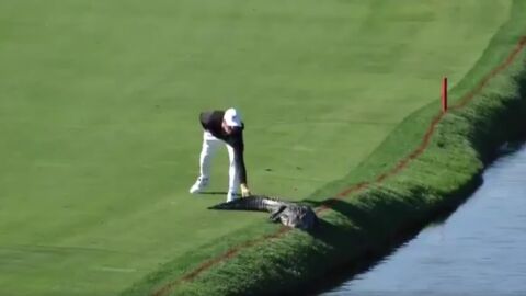 Cody Gribble espantando al cocodrilo