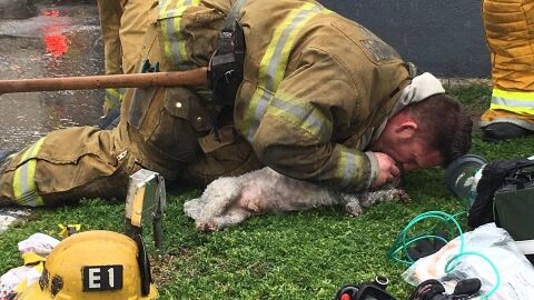 El bombero practic&aacute;ndole el boba a boca
