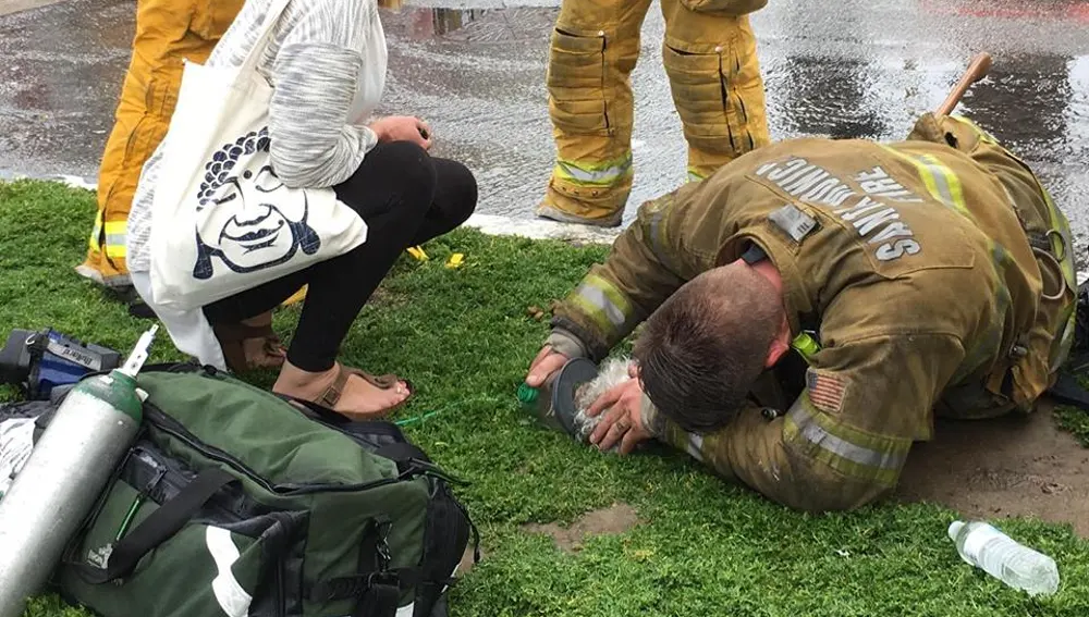 El bombero tratando de reanimar al animal