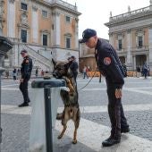 Carabinieri y perros comprueban los alrededores del Palacio Campidoglio