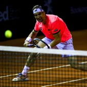 David Ferrer, en un partido David Ferrer, en un partido