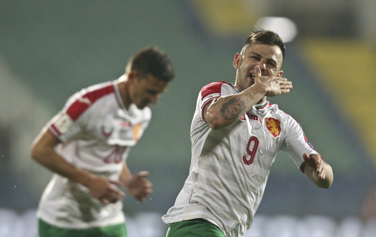 Desastre de Holanda en Bulgaria y los tulipanes se complican su presencia en Rusia Desastre de Holanda en Bulgaria y los tulipanes se complican su presencia en Rusia