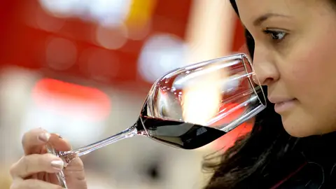 Catadores de vino Catadores de vino