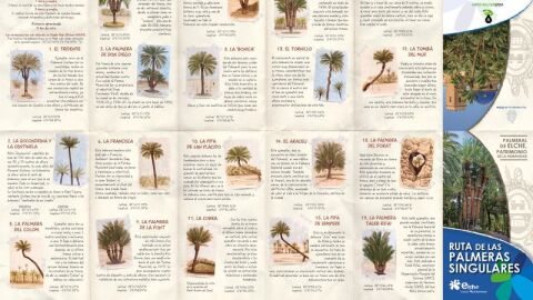 Palmeras Singulares