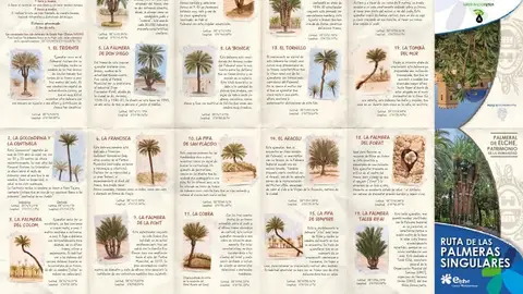 Folleto de la Ruta de las Palmeras Singulares de Elche. Palmeras Singulares