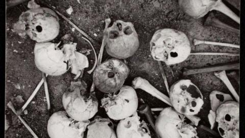 Huesos y calaveras en el suelo