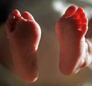 Pies de un bebé Pies de un bebé